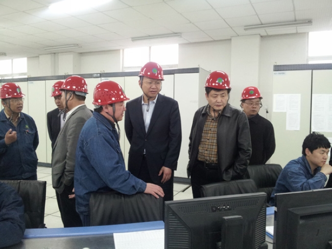 市國資委領導帶隊到安徽華塑集團考察電石項目