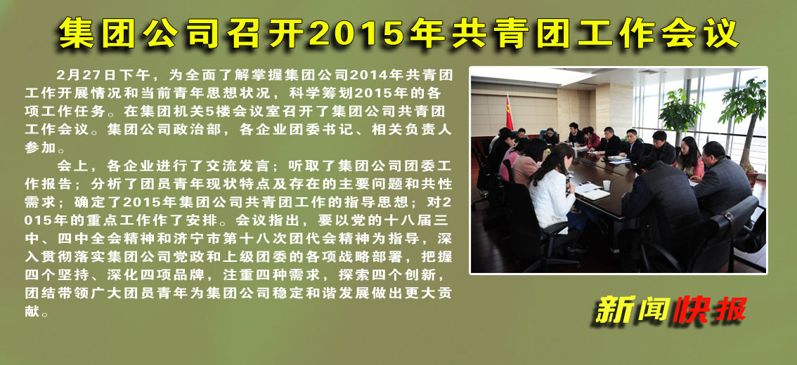 集團公司召開2015年共青團工作會議