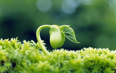 雨中的邂逅（鹿洼煤礦 趙文華）