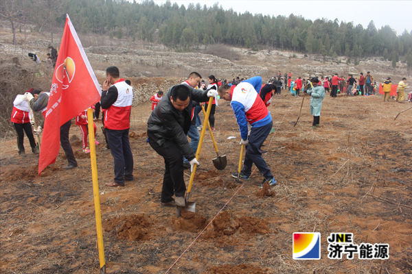 集團公司青年志愿者積極參加義務植樹活動