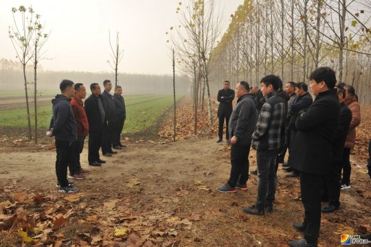 運河煤礦塌陷地治理工作拉開序幕