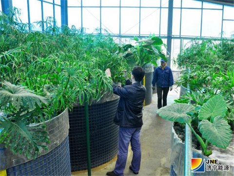 【特稿】創新讓“花園”更美麗——花園煤礦步步為營不斷提升智能化水平側記