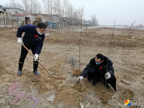 濟礦物流：干群合力7小時 9000多株花椒樹順利種植
