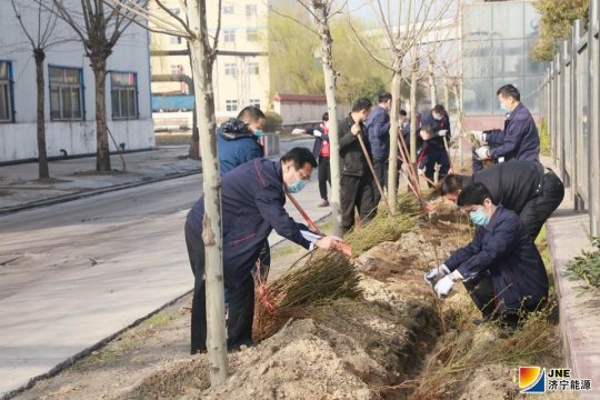 戰疫情  添新綠  陽城煤電開展植樹活動