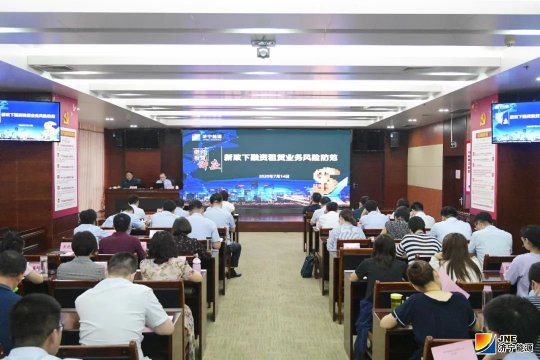 集團公司舉辦新政下融資租賃公司風險防范專題講座