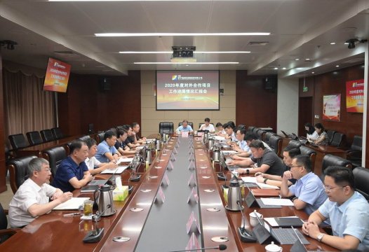 集團公司召開2020年對外合作項目工作進展情況匯報會