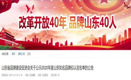 喜訊丨集團公司科技平臺建設屢獲佳績