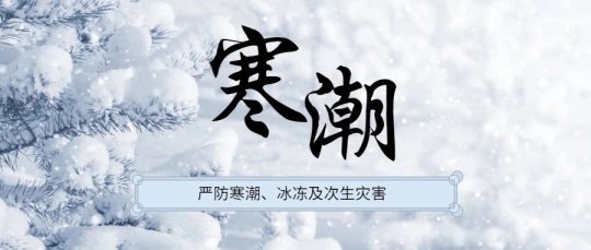 雨雪寒潮來襲，濟礦物流全力以赴戰寒潮保暢通