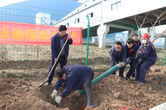 3·12植樹節丨濟寧能源志愿者服務隊在行動