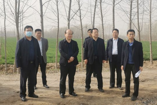 馬金平到陽城技改項目現場調研指導工作