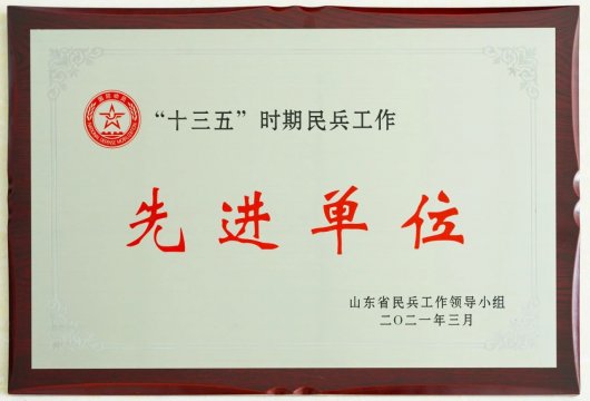 喜訊丨集團公司榮獲山東省“十三五”時期民兵工作先進單位稱號