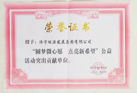 集團公司榮獲“圓夢微心愿 點亮新希望”公益活動突出貢獻單位稱號