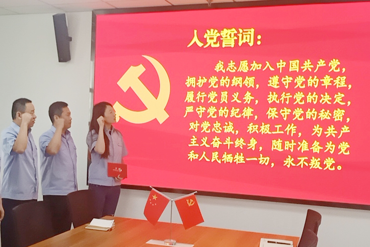 黨員重溫入黨宣誓儀式.jpg