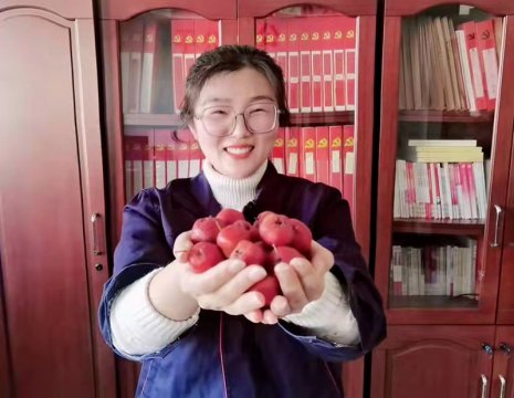 陽城煤電“紅果飄香”豐收忙