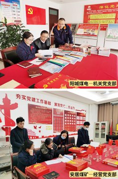 安居煤礦與陽城煤電聯合開展基層黨建工作互查活動