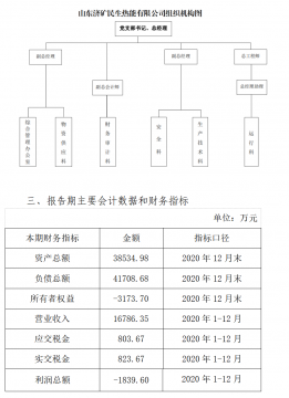 山東濟礦民生熱能有限公司2020年信息公告