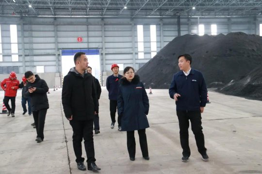 劉君妮到太平港調研指導工作