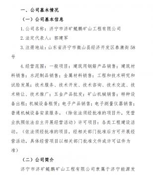 濟寧市濟礦鯤鵬礦山工程有限公司 2021 年一季度主要財務信息公告