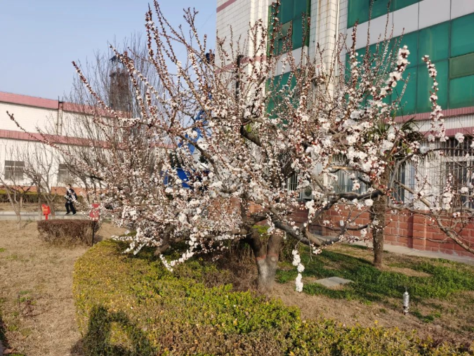 微信截圖_20220314091400.png