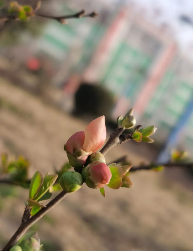 微信截圖_20220314091415.png