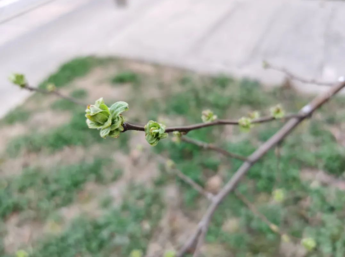 微信截圖_20220314091446.png