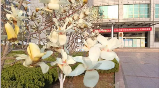 圖說陽城春景丨人勤春來早
