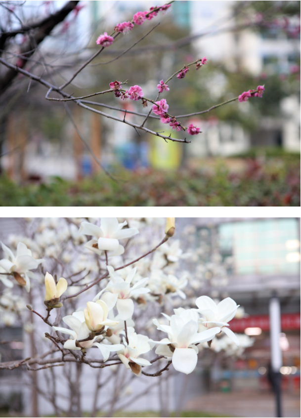 微信截圖_20220314095657.png