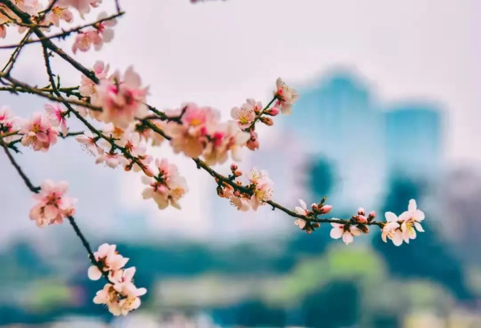 微信截圖_20220315075841.png