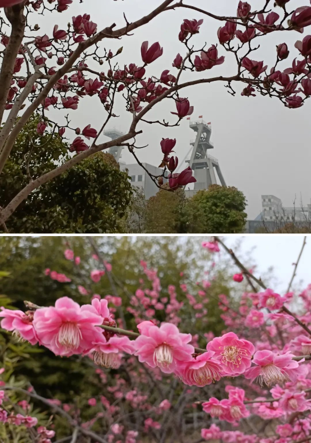 微信截圖_20220315083342.png