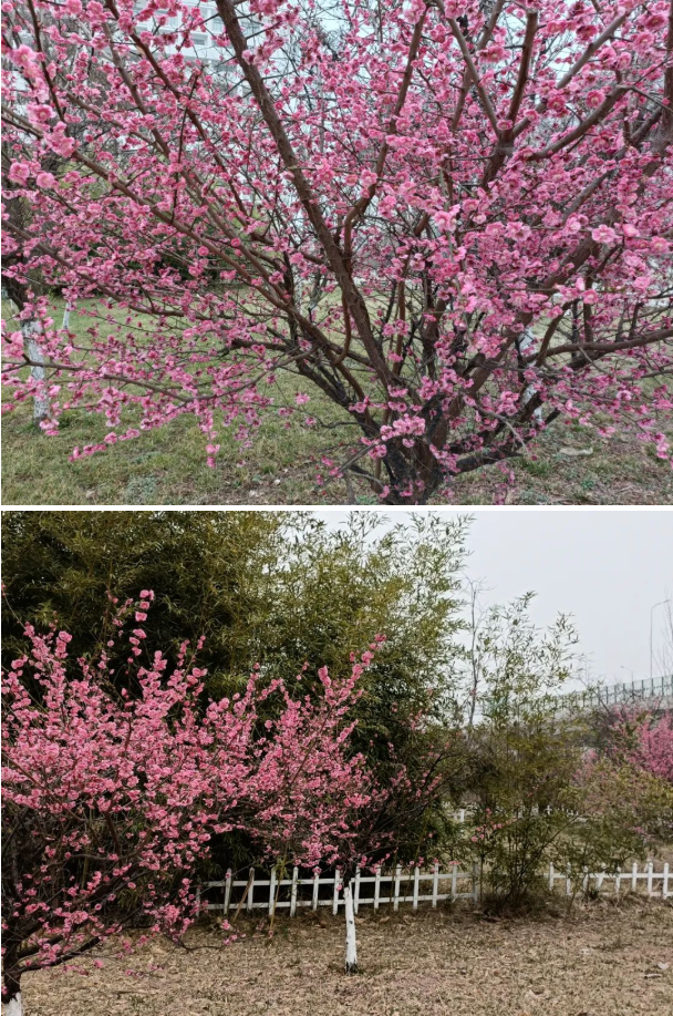 微信截圖_20220315083356.png