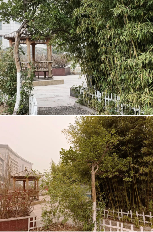 微信截圖_20220315083416.png