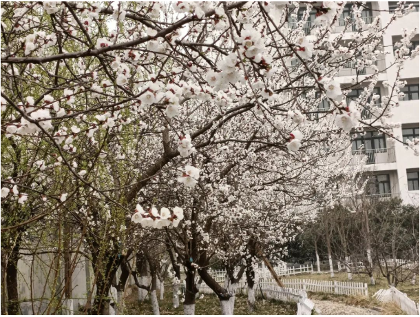 微信截圖_20220315083428.png