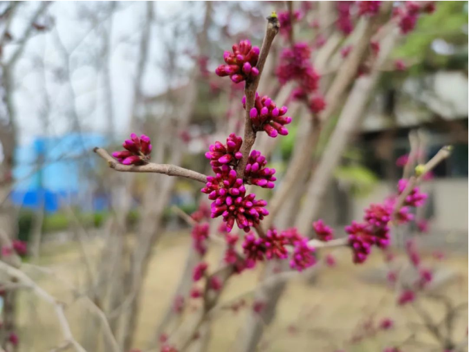 微信截圖_20220316085838.png