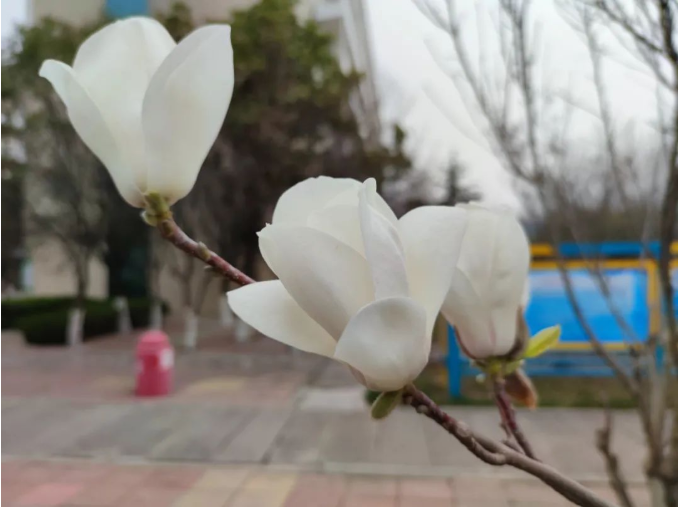 微信截圖_20220316085856.png
