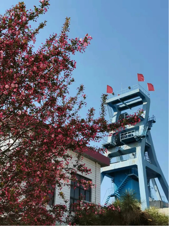 微信截圖_20220316085954.png