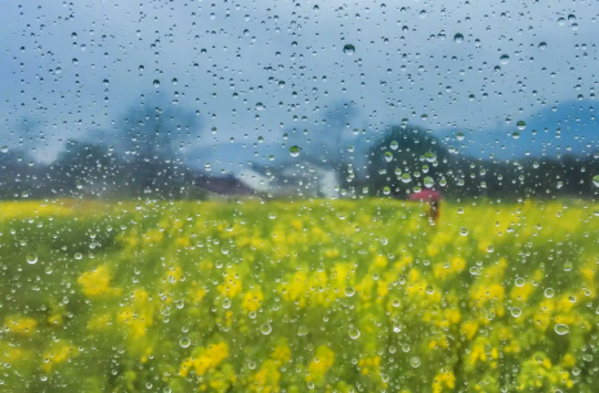春雨落滿園