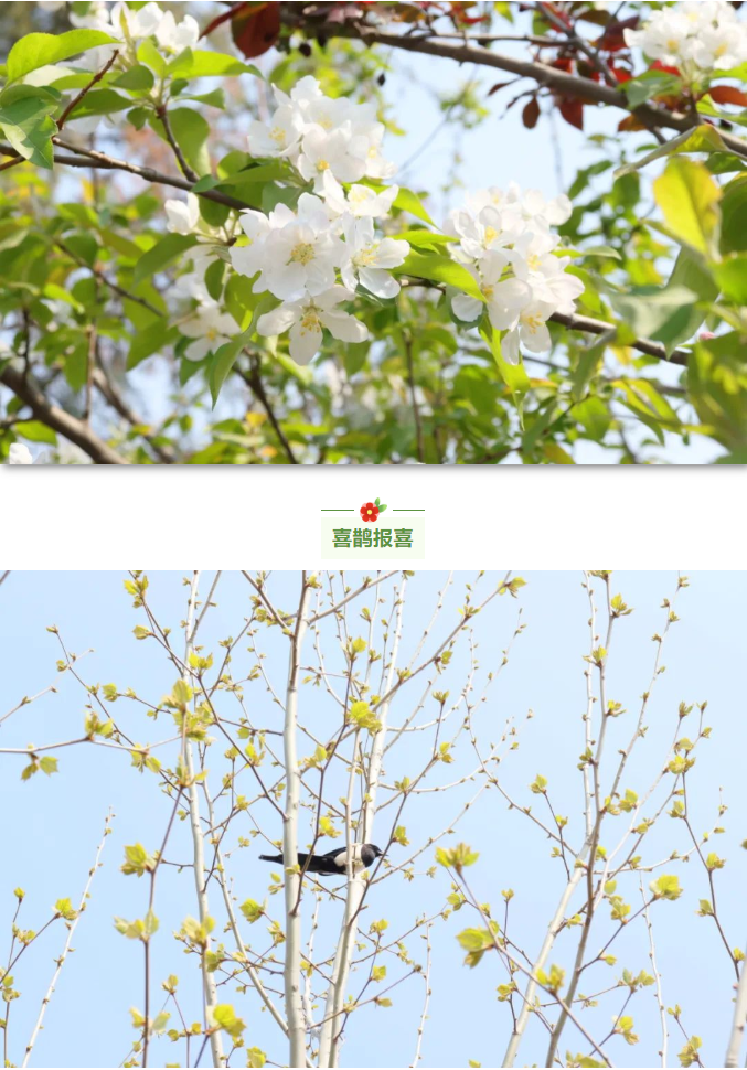 微信截圖_20220406135316.png