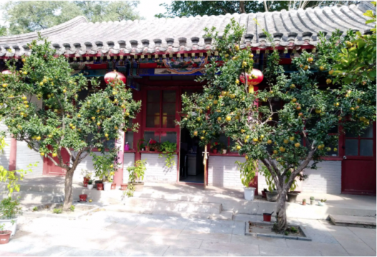 伴我長大的四合院
