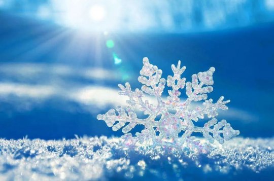 讀董事長薦文有感丨做最閃耀的雪花