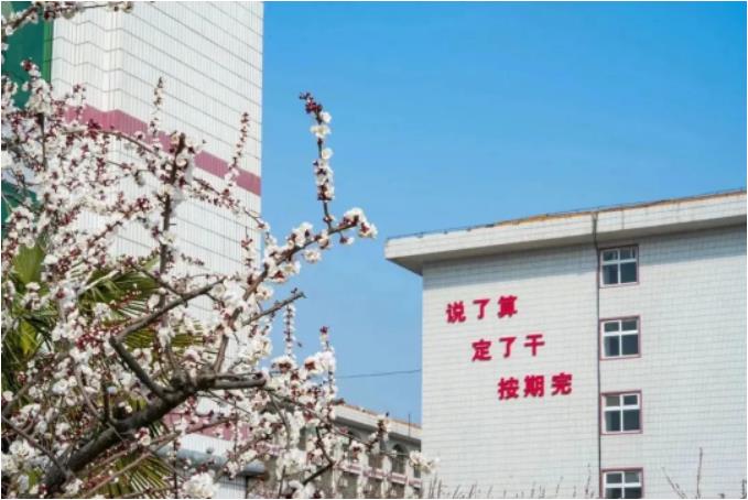 微信截圖_20230415090643.jpg
