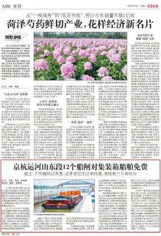 《齊魯晚報》丨京杭運河山東段12個船閘對集裝箱船舶免費