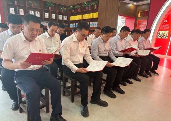 海納科技夯實“四字訣”促高質量黨建，釋放“科技先鋒”活力