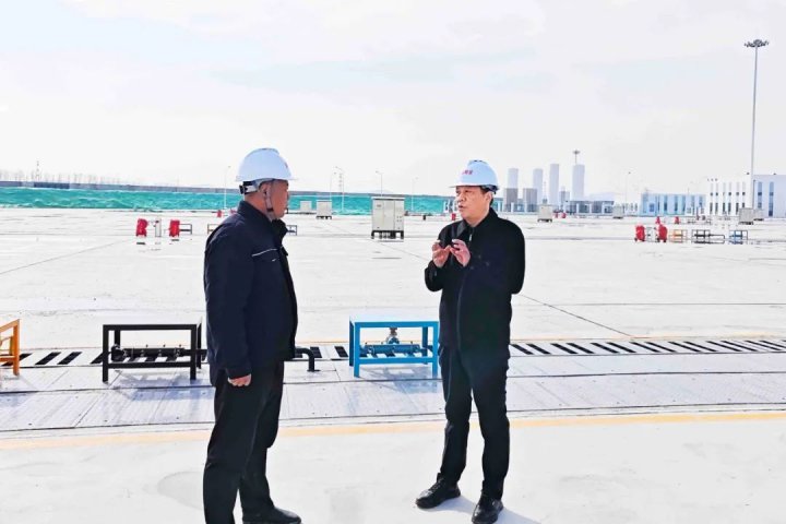 張廣宇到新能船業和太平港指導復工復產工作