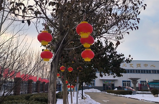大紅燈籠.jpg