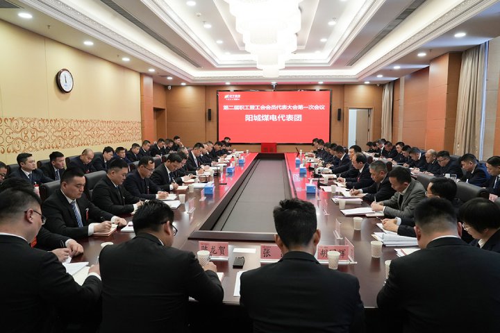 張廣宇參加陽城煤電、霄云煤礦代表團分組討論