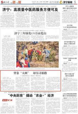 大眾日報丨背靠“大樹”，卻另尋新路