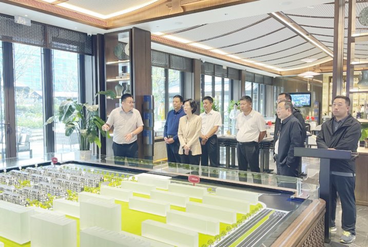 市政府領導到能源藍城·春風仁里項目調研指導工作