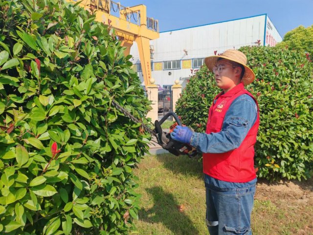 文明實踐月丨花園煤礦美化環境來參與，文明實踐在行動