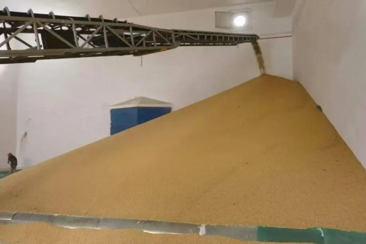 再添新貨品，江北物流園首單大豆倉儲貿易業務成功落地