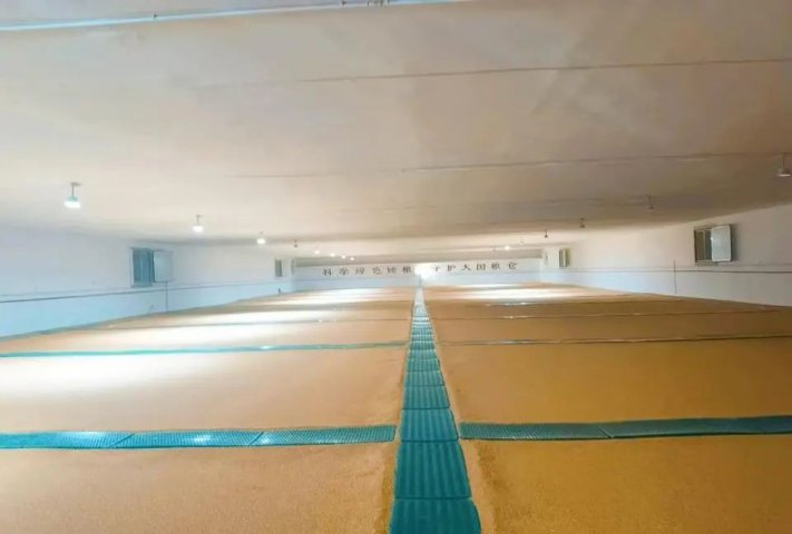 “綠色儲糧”新風尚！江北糧食物流園探尋安全儲糧新方法